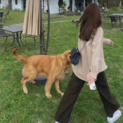 这是什么鬼