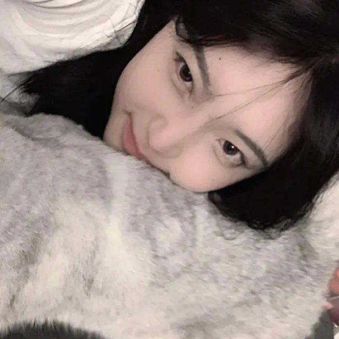 从天而降驸马爷